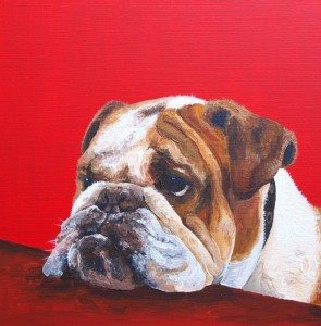 bulldog