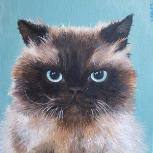 cat