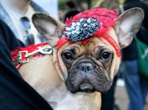 flapper