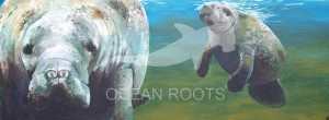 ocean2