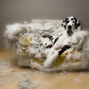 couch
