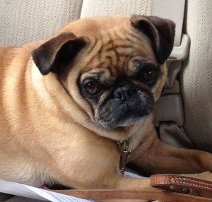 ella