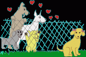 dogs