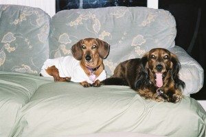 heidi2