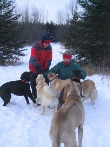 Hudson dog walkers Tracy and Lynn, congregate near the special tree (at right)