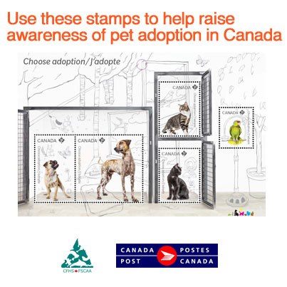 how much does it cost to adopt a dog in canada