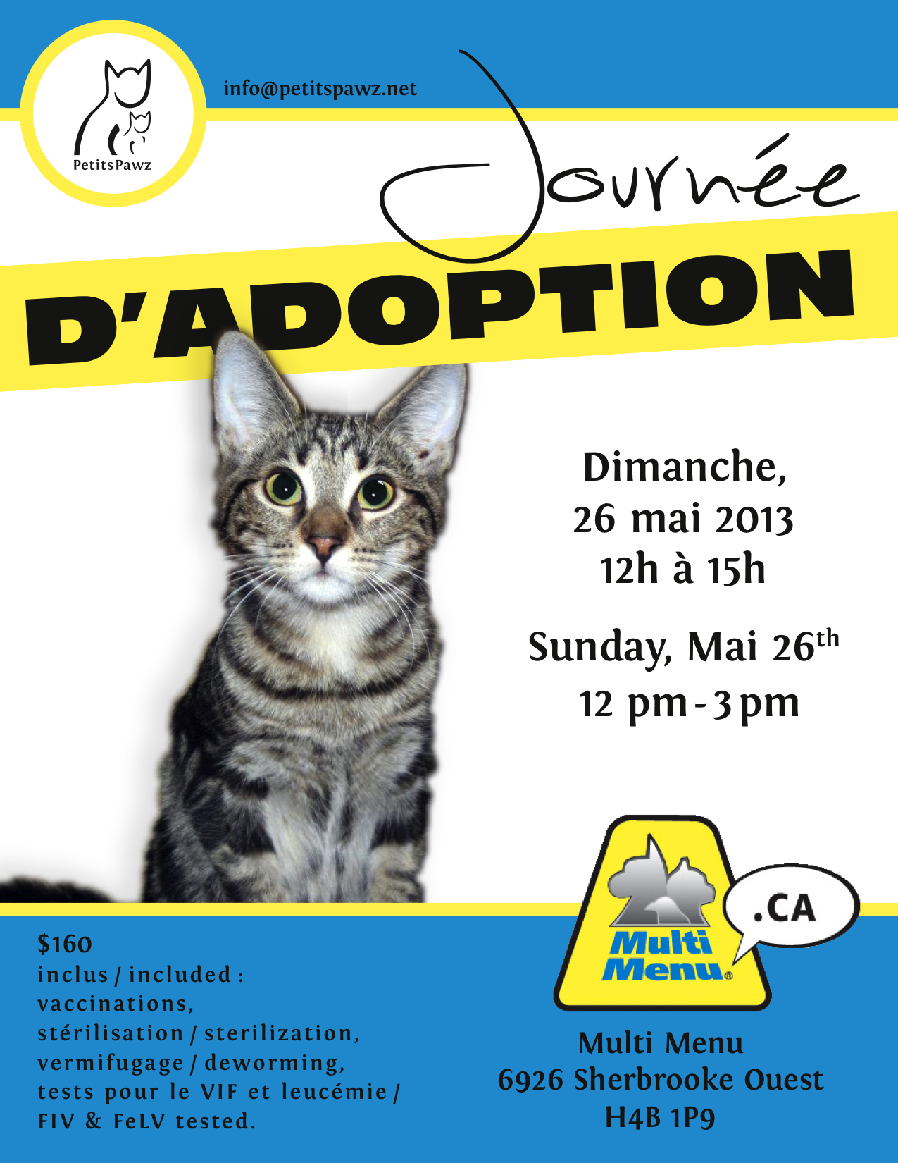 refuge adoption chat montreal
