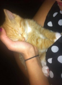 Cesar on the day he was found.