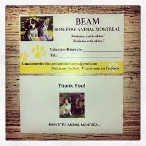 beam business card
