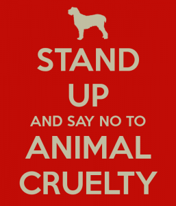 stand-up-and-say-no-to-animal-cruelty