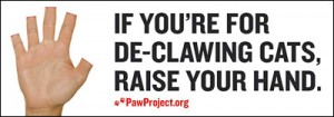 declawing081409