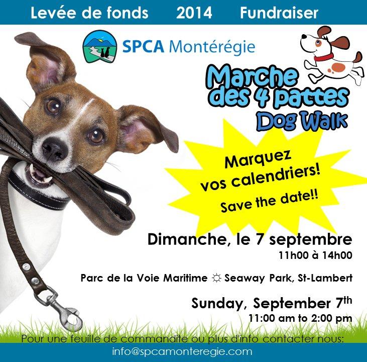 spca monteregie dogs