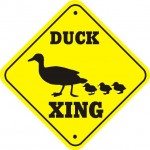 duck-crossing