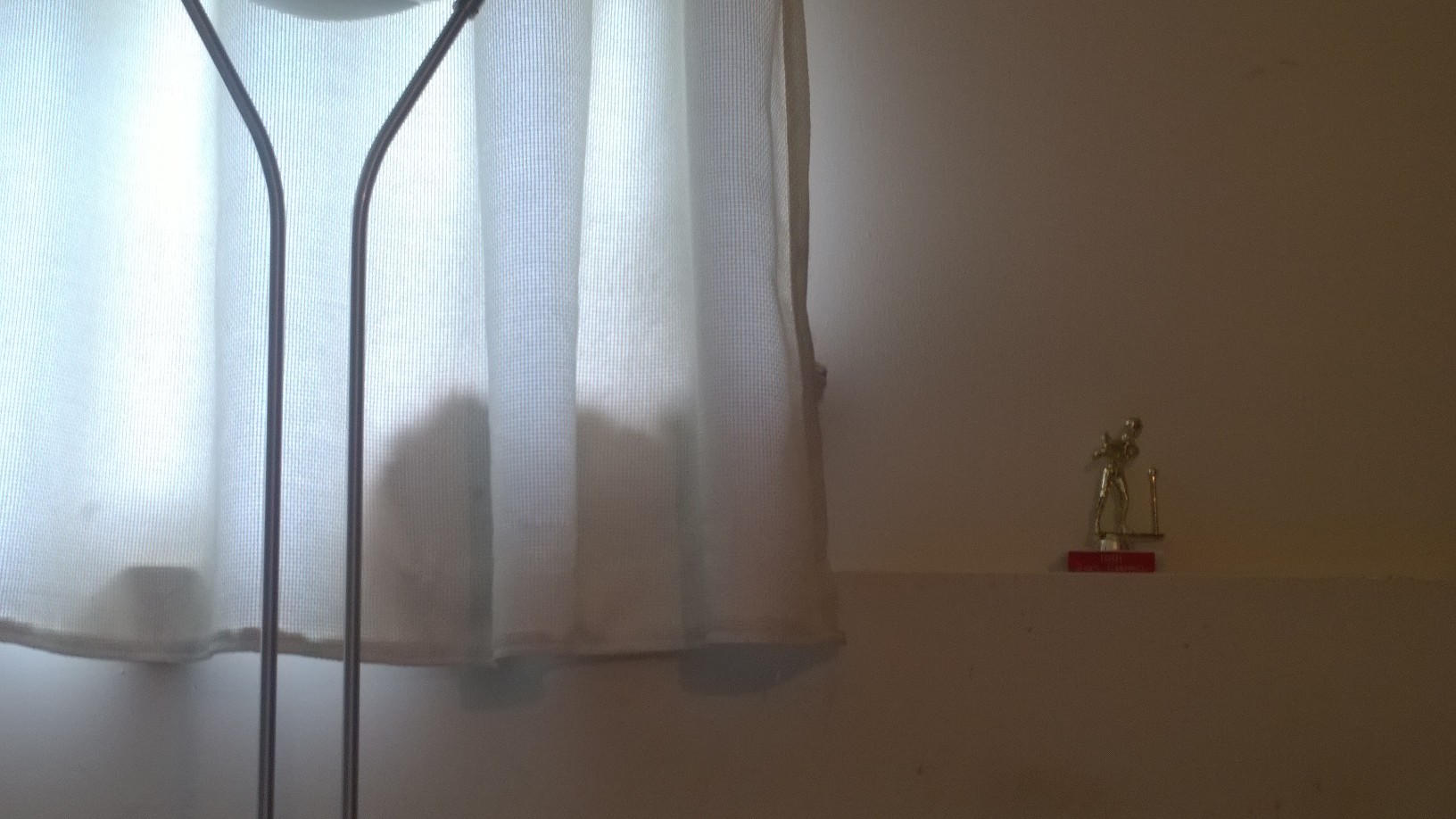 Spot the unhappy cat.