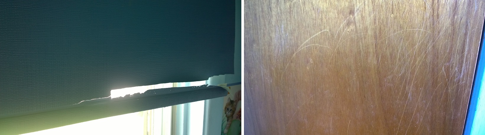 Of course, some damage was done in their efforts to find an escape route...
