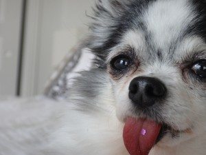 Is th-omething th-tuck to my tongue?