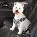 car harness