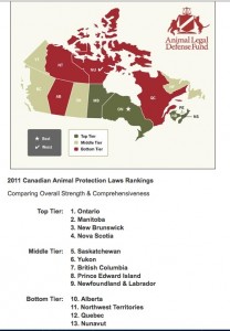 2011 ALDF copy