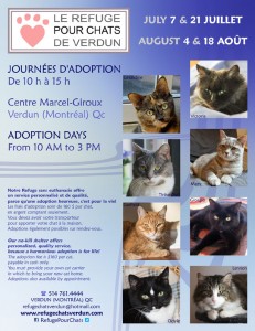 affiche_ja_ete_2013
