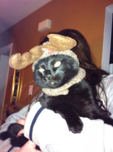 Ollie was adopted as an orphan kitten and was bottle fed by his mom Debbie. Here he is, putting on his best "shame" face for the camera. Don't worry! Once the photo was taken, he was off to cause more kitty trouble (payback to his mom for dressing him up!). Happy Holidays to Ollie and his family!! 