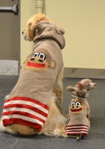 nelsonsweater