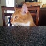 Peppy1