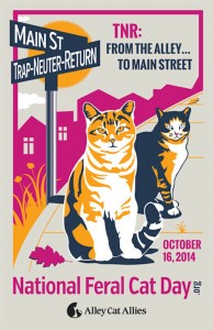 NFCD2014_Poster