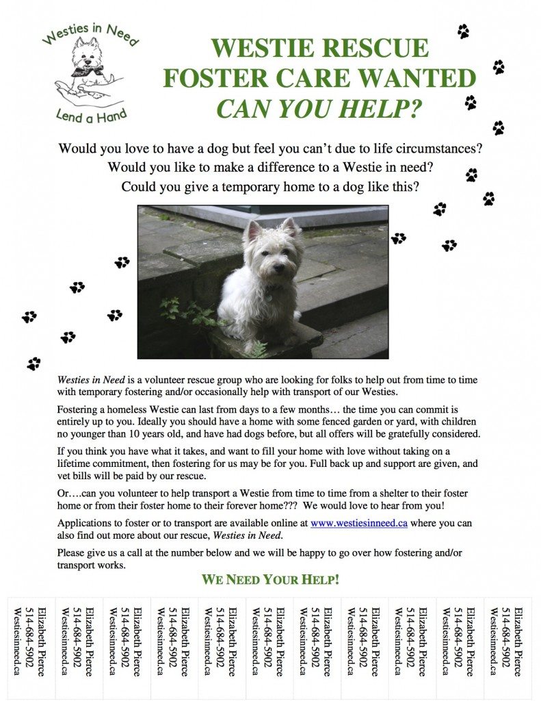 Foster Flyer - E. Pierce _english_ copy