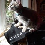 Uber Pic11
