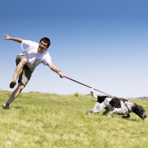 dog_pulling_on_leash_article_thumbnail