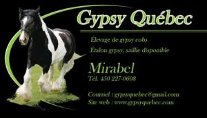gypsy