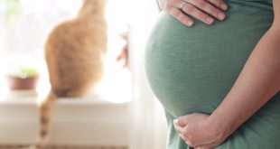 Pregnancy - dont neglet your furry babies cats and dogs
