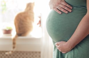 Pregnancy - dont neglet your furry babies cats and dogs